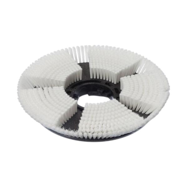 Shampooing Brush Dry D43