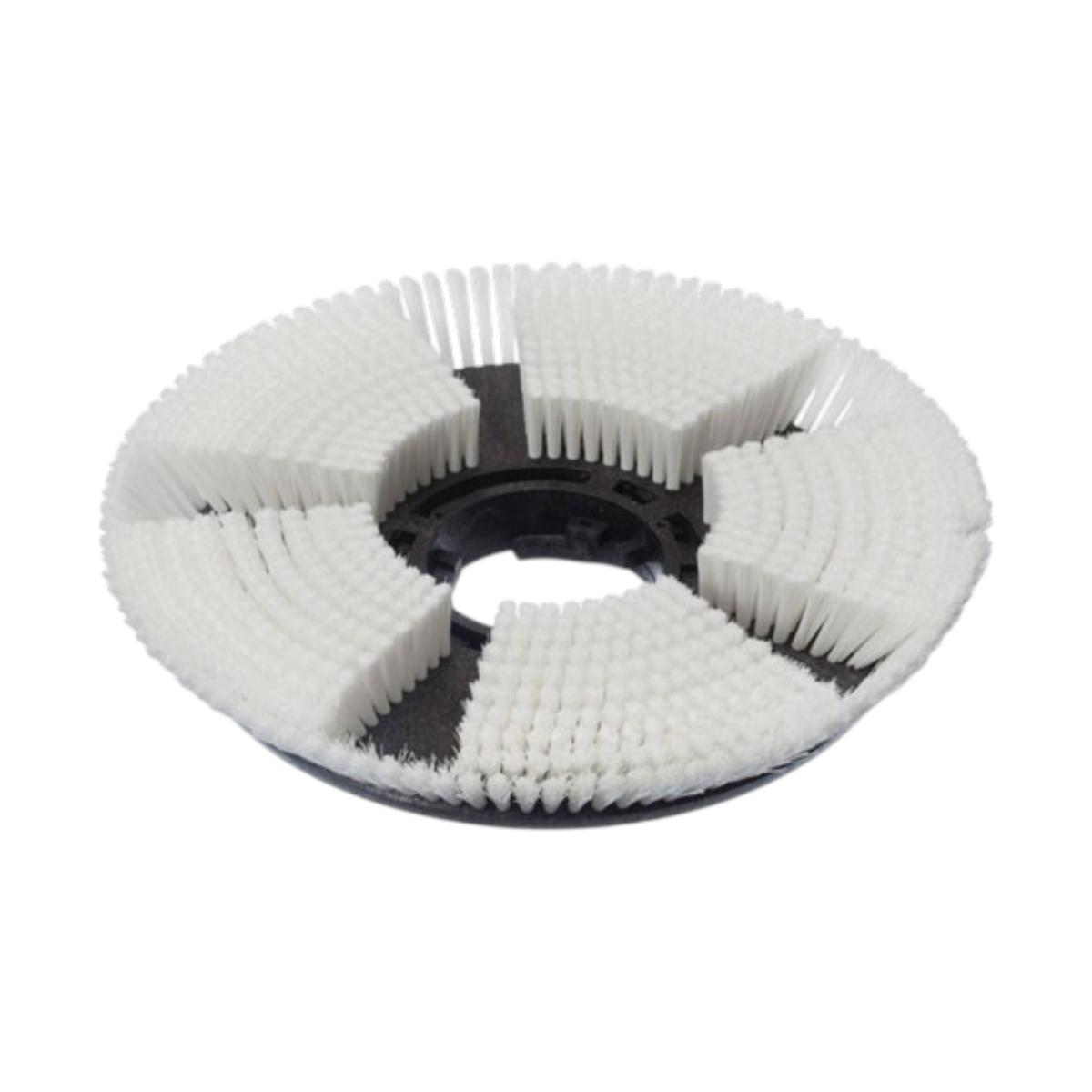 Shampooing Brush Dry D43