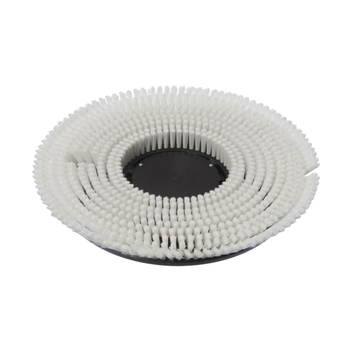 Shampooing Brush Wet D43
